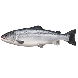 Transparent PNG of the GTA V item lazac