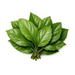 Transparent PNG of the GTA V item leafs