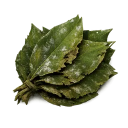 Transparent PNG of the GTA V item leaves_folhas_fedorentas_folhas_com_cheiro_forte_que_podem_servir_para_alguma_mi