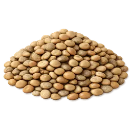 Transparent PNG of the GTA V item lentils
