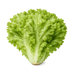 Transparent PNG of the GTA V item lettuce