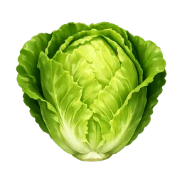 Transparent PNG of the GTA V item lettuce_1
