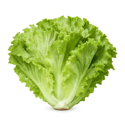 Transparent PNG of the GTA V item lettuce_4