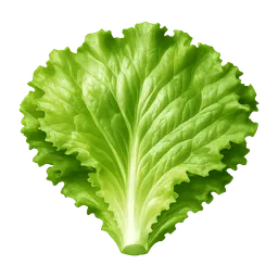 Transparent PNG of the GTA V item lettuce_leaf