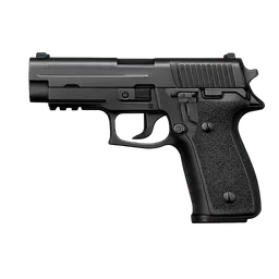 Transparent PNG of the GTA V item license_weapon_image