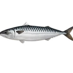 Transparent PNG of the GTA V item mackerel