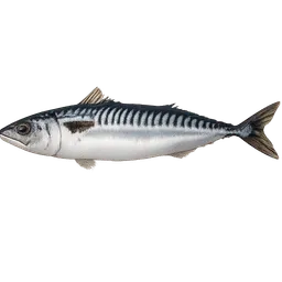 Transparent PNG of the GTA V item mackerel_1