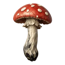 Transparent PNG of the GTA V item magic_mushroom_1