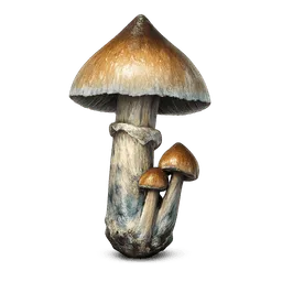 Transparent PNG of the GTA V item magic_mushroom_2