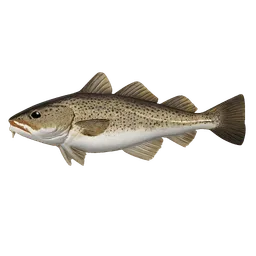 Transparent PNG of the GTA V item make_me_a_cod