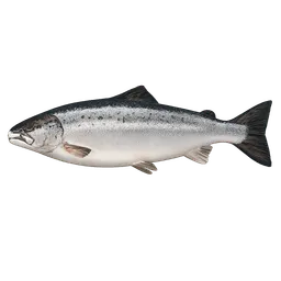 Transparent PNG of the GTA V item make_me_a_salmon