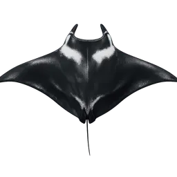 Transparent PNG of the GTA V item manta_ray