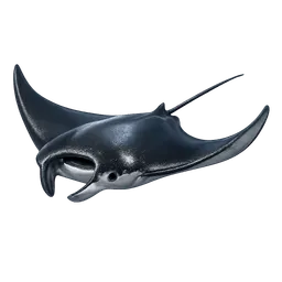 Transparent PNG of the GTA V item manta_ray_1