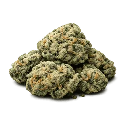 Transparent PNG of the GTA V item marihuana_knospen