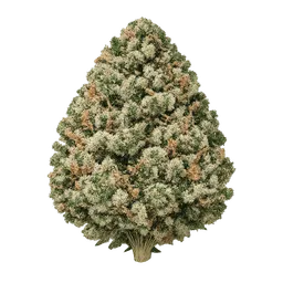 Transparent PNG of the GTA V item medical_marihuana