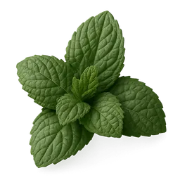 Transparent PNG of the GTA V item mint