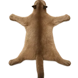 Transparent PNG of the GTA V item mountainlionpelt