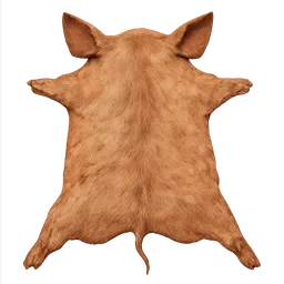 Transparent PNG of the GTA V item pig_pelt