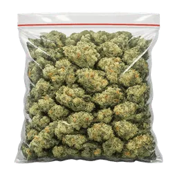 Transparent PNG of the GTA V item plastic_bag_full_of_weed