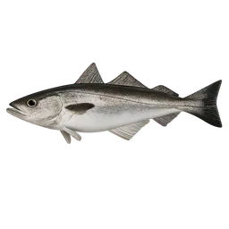 Transparent PNG of the GTA V item pollock