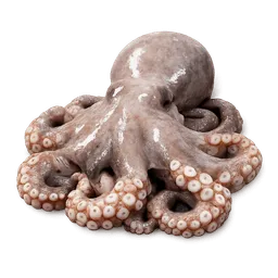 Transparent PNG of the GTA V item polpo_crudo