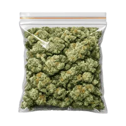 Transparent PNG of the GTA V item prop_weed_01