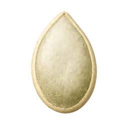 Transparent PNG of the GTA V item pumpkin_seed