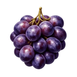 Transparent PNG of the GTA V item purple_grape