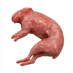 Transparent PNG of the GTA V item rabit_meat