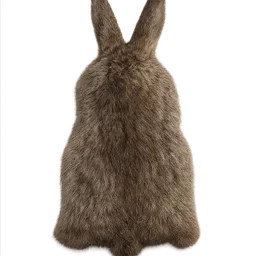 Transparent PNG of the GTA V item rabit_skin