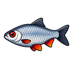 Transparent PNG of the GTA V item rotauge_fisch