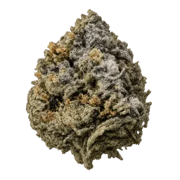 Transparent PNG of the GTA V item rotten_weed