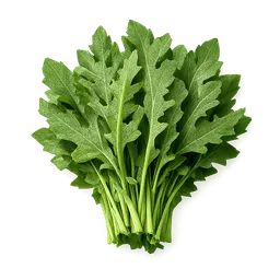 Transparent PNG of the GTA V item rucola