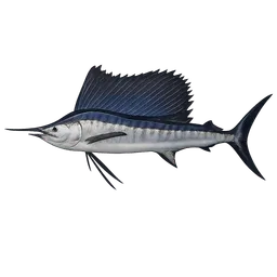 Transparent PNG of the GTA V item sailfish