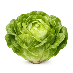Transparent PNG of the GTA V item salat