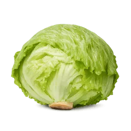 Transparent PNG of the GTA V item salat_3