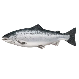Transparent PNG of the GTA V item salm_n_fish