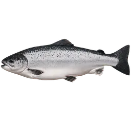Transparent PNG of the GTA V item salmon_3