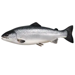 Transparent PNG of the GTA V item salmon_4