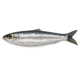 Transparent PNG of the GTA V item sardina