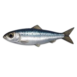 Transparent PNG of the GTA V item sardine