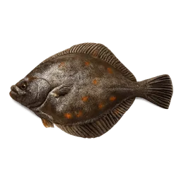 Transparent PNG of the GTA V item scholle