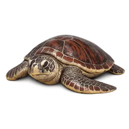 Transparent PNG of the GTA V item sea_turtle