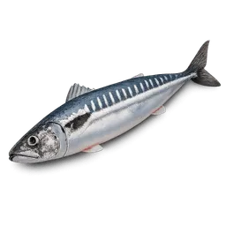Transparent PNG of the GTA V item sgombro_fresco