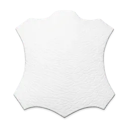 Transparent PNG of the GTA V item shoe_material_leather_white