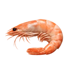 Transparent PNG of the GTA V item shrimp_1