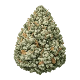 Transparent PNG of the GTA V item skunk_weed