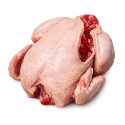 Transparent PNG of the GTA V item slaughtered_chicken_1