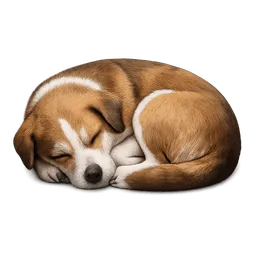 Transparent PNG of the GTA V item sleeping_dog