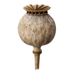 Transparent PNG of the GTA V item sleepmohn